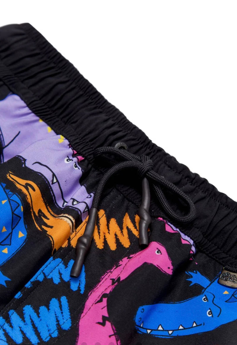 Tiago Boardies